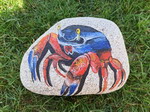 Malování na kameny - krab (krab.jpg)