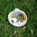 Malování na kameny - turtle (turtle.jpg)