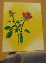 Obrazy na plátně - Růže v30cm, š24cm (obrazy_004.jpg)